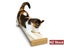 PTN NEW Cat Scratcher Sale Sale Sale Carousel 2