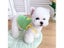 Dog Vest Carousel 1