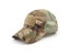 Outdoor Camouflage Mesh Snapback Hat For Men's Outdoor Activities Carousel 1