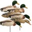 Loading Image 1 of 2