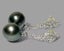 Round 12.2mm Peacock Grey Green Tahitian Pearl Earrings Carousel 4