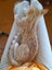 Brave Paws Cat Rescue - Kitten - MITTENS Carousel 13