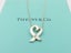 TIFFANY & CO Sterling Silver Diamond Loving Heart Pendant Necklace Carousel 1