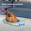 Pawz Pet Cooling Mat Dog Cat Gel Non-Toxic Bed Pillow Self-cool Summer Ice Pad S Carousel 2