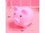Kids Toys Home Decor Piggy Bank Money Saving Box Carousel 1