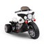 Ride On Motorbike Carousel 3