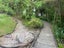 gallery view thumbnail
