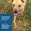 Auckland Puppy Rescue - TOPAZ Carousel 6