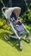 Mutsy i2 Baby stroller, Carrycot & Accessories Carousel 4