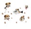 Loading Image 1 of 6