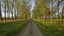 gallery view thumbnail