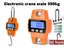 PTN NEW Crane Scales Sale Sale Sale Carousel 2