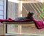 Cat Window Mounted bed Seat Pets Sunny Hammock Cover Washable Carousel 3