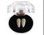10 pairs Halloween Vampire Zombie Fake Teeth Spoof Toys Party Fangs Props Carousel 1