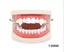 10 pairs Halloween Vampire Zombie Fake Teeth Spoof Toys Party Fangs Props Carousel 3