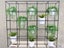 Office Cabinet with Plant Wall Attached Carousel 5