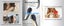 Cordless Portable Hair Straightener Brush Carousel 6