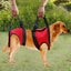 1 Pair M-forward And Backward Dog Support Harness Walking Aid Lifting Traction Carousel 3