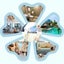 20 Piece Extra Large Soft Waterproof Disposable Toilet Seat Covers For Childre Carousel 3