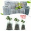 Seedling Planter Nursery Sponge Pots Carousel 1