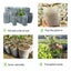 Seedling Planter Nursery Sponge Pots Carousel 2