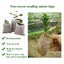 Seedling Planter Nursery Sponge Pots Carousel 3