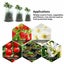 Seedling Planter Nursery Sponge Pots Carousel 4