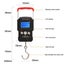 LCD Digital Display Backlight Portable Hook Scale Double Precision Fishing Carousel 2