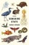 Sunshine State by Sarah Gerard - Paperback Carousel 1