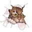 1pcs cute Cat [12.5*16cm] 3d Cat Wall Stickers Funny Decorative Stickers - Carousel 1