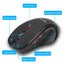 Mouse Carousel 7