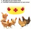 12pcs Chicken Drinker Water Nipple Hen Feeder Automatic Poultry Supplies Hor Carousel 3