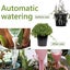 12 Piece Drip Irrigation Drip Bottle Automatic Plant Irrigation Adjustable Pl Carousel 5