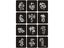 Loading Image 1 of 10