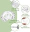 24 Pack Clear Door Handle Stoppers To Protect Door Handles From Walls And Furn Carousel 3