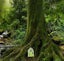Fairy Gate Elf Gate Halloween Decoration 4 Pcs Carousel 2