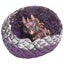 dragon egg dragon statue dragon figurines garden dragon resin dragon egg Dragon Carousel 7