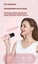 Wireless Bluetooth Karaoke Speaker with Microphone for Home Party KTV - Pink Carousel 7