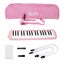 Accordion Strap Carousel 1