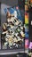 75979 Hedwig - Harry Potter Carousel 2
