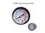 Vacuum/Air Pressure Gauge Mini Dial Dual Scale Dial 1/4 "NPT-30HG/0PS Vacuum Carousel 1