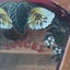 VINTAGE STAINED GLASS OR LEAD LIGHT GLASS AND WOOD SPICE CABINET Carousel 4