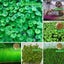 Aquarium Plant Seeds Fish Tank Aquatic Water Grass Foreground Easy Plants Carousel 3