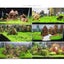 Aquarium Plant Seeds Fish Tank Aquatic Water Grass Foreground Easy Plants Carousel 6