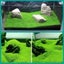 Aquarium Plant Seeds Fish Tank Aquatic Water Grass Foreground Easy Plants Carousel 11