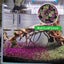 Aquarium Plant Seeds Fish Tank Aquatic Water Grass Foreground Easy Plants Carousel 12