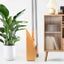 [Heavy-Duty Broom and Dustpan] Durable Heavy-Duty Broom and Dustpan Set #DG304 Carousel 5