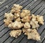 1kg+ Freshly Harvested Jerusalem Artichoke Tubers Carousel 1