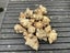 1kg+ Freshly Harvested Jerusalem Artichoke Tubers Carousel 2