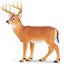 Loading Image 1 of 2